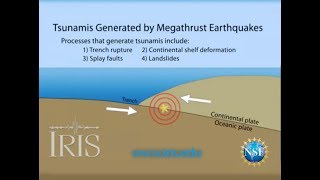 Tsunamis Generated by Megathrust Earthquakes [upl. by Neeron88]