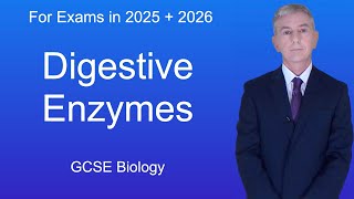 GCSE Biology Revision quotDigestive Enzymesquot [upl. by Nickie]