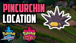 How to Catch Pincurchin  Pokemon Sword amp Shield [upl. by Enisaj]