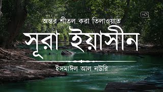 অন্তর শীতল করা সূরা ইয়াসিন এর তিলাওয়াত ┇ Surah Yasin Recited by Ismail An Nouri ┇ An Nafee [upl. by Dustman]