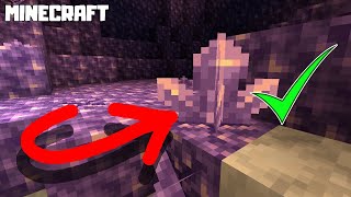 MINECRAFT  How to Grow Amethyst Cluster 117 [upl. by Neille131]