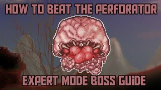 How to beat the Perforator in Terraria Calamity Expert Mode Boss Guide [upl. by Anaigroeg]