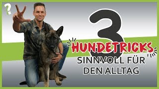 3 sinnvolle Hundetricks für den Alltag  Hundeerziehung [upl. by Nnairet]