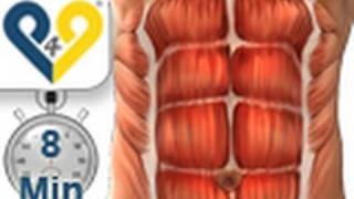 Treinamento abdominais em 8 minutos [upl. by Enaasiali]