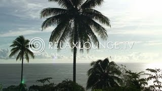 Loungemusik  Gitarren Musik Harmonie Wellness amp Paradies  OCEAN LOUNGE [upl. by Cower456]