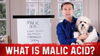 What Is Malic Acid amp Its Benefits – DrBerg [upl. by Adnohsel]