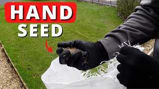 Cheapest Way To Overseed A Patchy Lawn  No Tools [upl. by Rann]