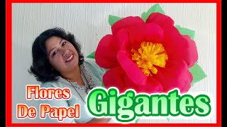 DIY  Como Hacer Flores De Papel Crepe  GIGANTES [upl. by Persis]