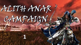 Alith Anar Vortex Campaign Ep 1 [upl. by Yralih]