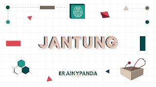 Sistem Kardiovaskular Jantung  Ilmu Biomedik Dasar  Brainy Panda [upl. by Onifled]