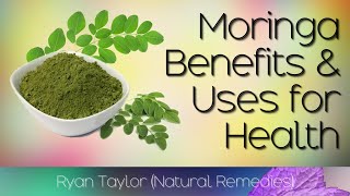 Moringa Benefits and Uses [upl. by Ajan]