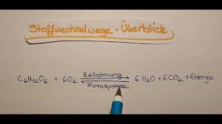Stoffwechselwege im Überblick [upl. by Etra]