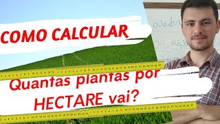 Calcular QUANTAS PLANTAS POR HECTARE devo colocar [upl. by Iphigenia]