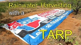 Rainwater Harvesting with a TARP [upl. by Schach986]