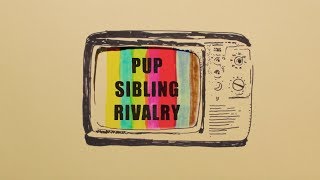 PUP  SIBLING RIVALRY Official Music Video [upl. by Udell]