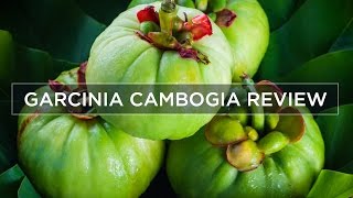 Garcinia Cambogia Weight Loss amp Side Effects  Review [upl. by Hoagland]