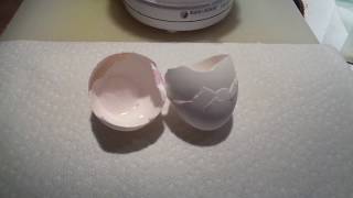 Natural Eggshell Membrane  NEM  preparing eggshells  recipe [upl. by Akital]