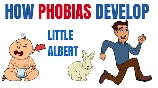 How phobias develop  What Little Albert taught us [upl. by Gaither526]