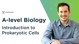 Introduction to Prokaryotic Cells  Alevel Biology  OCR AQA Edexcel [upl. by Arabelle325]