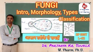 Morphology amp Classification of Fungi  Fungi Introduction Types amp Examples  BP 303T  L22 [upl. by Paff]