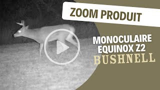 On a testé pour vous  Monoculaire EQUINOX Z2 Bushnell [upl. by Star]