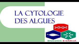 cours biologie végétale partie 3 cytologie des algues [upl. by Nnazil]