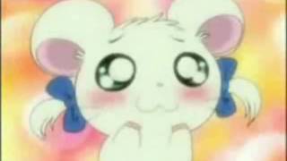 Hamtaro AMV Ordinary Day [upl. by Tanya]