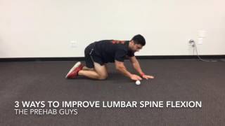 3 ways to improve lumbar spine flexion mobility [upl. by Powe]