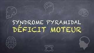 Syndrome Pyramidal  Déficit Moteur [upl. by Hayton249]