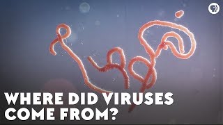 Where Did Viruses Come From [upl. by Atwater]