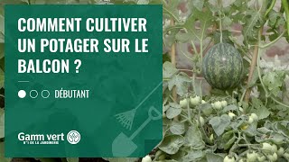 TUTO Comment cultiver un potager sur le balcon  – Jardinerie Gamm vert [upl. by Assyl472]