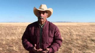 Consevación de pastizales del Desierto Chihuahuense Chihuahuan Desert Grasslands Conservation [upl. by Paschasia637]