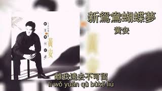 新鴛鴦蝴蝶夢  黃安  Xin Yuan Yang Hu Die Meng  Huang An Lyrics  Pinyin [upl. by Maxine790]