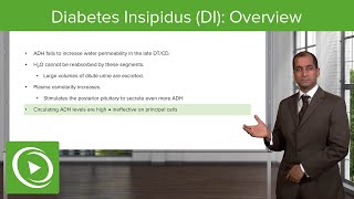 Diabetes Insipidus DI Overview – NephrologyFoundations  Lecturio [upl. by Laryssa270]