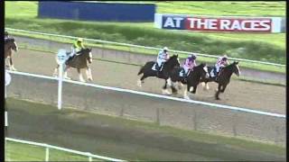 Shire horse race [upl. by Ayat]