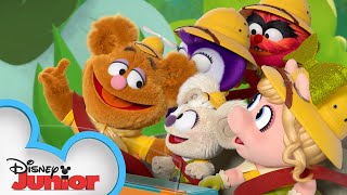 Muppet Babies  Jokes  The Fozzie Bear Show  Disney Kids [upl. by Euk825]