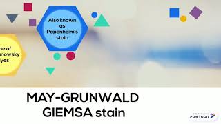 MayGrunwald Giemsa amp Diff Quik Stain in Cytology 2018 [upl. by Ebba326]