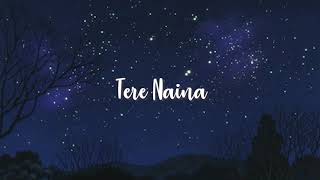 Tere Naina slowed to perfection  reverb [upl. by Ellenohs]