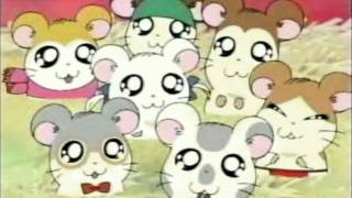 Hamtaro Japanese OP [upl. by Suzette801]