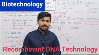 Biotechnology  biotechnology processes and principles Recombinant DNA technology  Biology class 12 [upl. by Blessington]