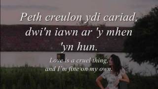 Cariad  Gwyneth Glyn geiriau  lyrics [upl. by Rosa303]