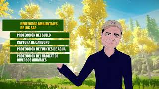 6 Los Sistemas Agroforestales y el Medio Ambiente [upl. by Ullman]