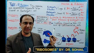 Ribosomes Structure and Functions [upl. by Calesta]