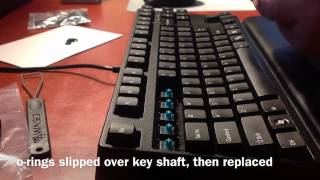 Majestouch Cherry MX Blue Switches versus IBM Model M Buckling Spring [upl. by Aynotal]