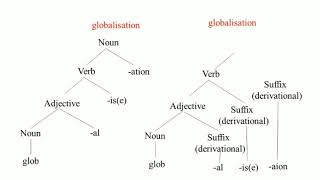 Practice The Hierarchical Structures of Words Morphological Analysis of Words  funlearning5 [upl. by Enylhsa306]