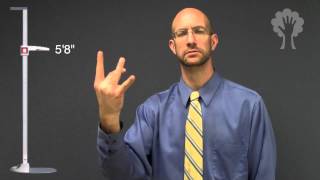 Telling Height  ASL  American Sign Language [upl. by Laro]