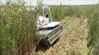 Marsh Master MM2C Cutting Phragmites [upl. by Norramic]