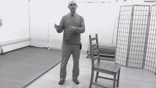 Introduction to Walking Feldenkrais lesson [upl. by Alaaj]