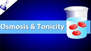 Osmosis and Tonicity [upl. by Irrehs]