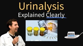 Urinalysis Interpretation Explained Clearly  Glucose amp Ketones in Urine [upl. by Hareema]